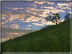 foto Paesaggi Autunnali tra le Colline 